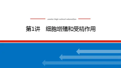 高考二轮复习细胞增殖和受精作用课件(81张)新教材新高考版