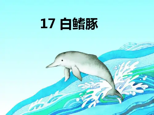 湘教版语文五年级上《白鳍豚》ppt课件3