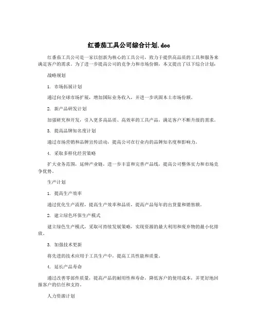 红番茄工具公司综合计划.doc