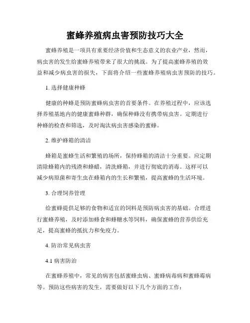 蜜蜂养殖病虫害预防技巧大全