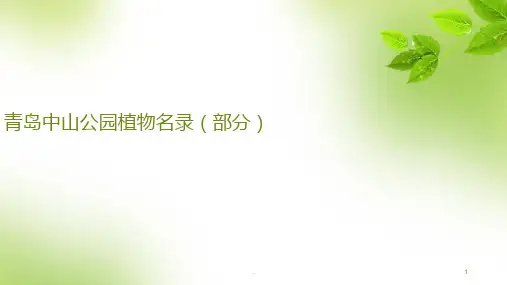 青岛中山公园植物名录