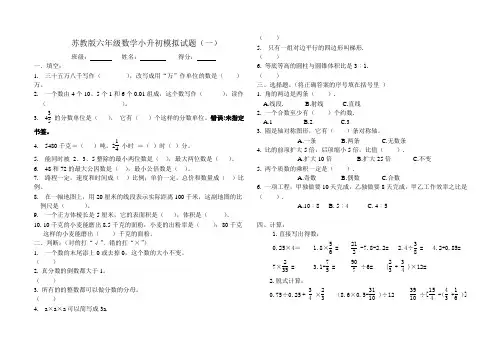 苏教版六年级数学小升初模拟试卷(共10套)