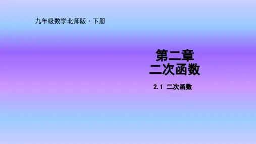 北师大版数学九年级下册课件二次函数