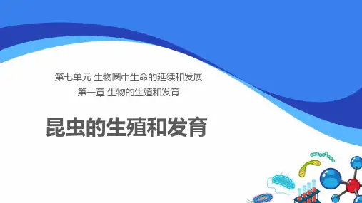 《昆虫的生殖和发育》PPT优秀课件