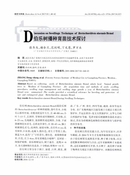 伯乐树播种育苗技术探讨
