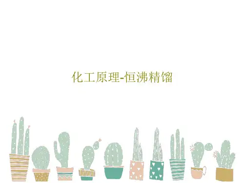 化工原理-恒沸精馏67页PPT
