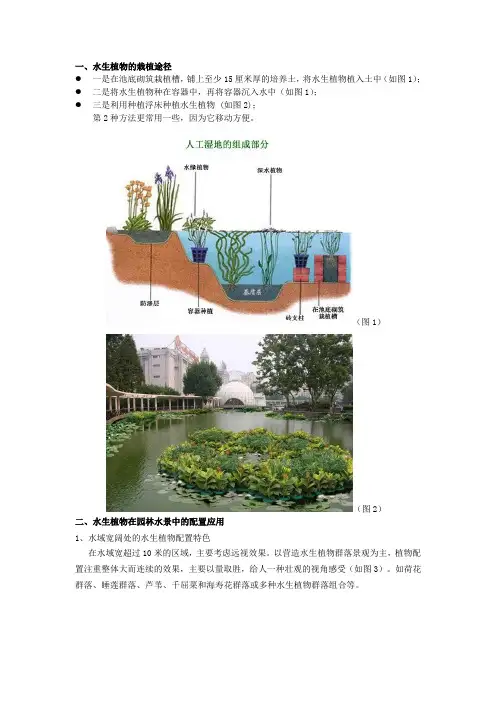 水生植物设计要点