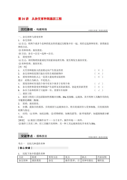 高三生物(人教版通用)一轮复习教案--- 第24讲 从杂交育种到基因工程