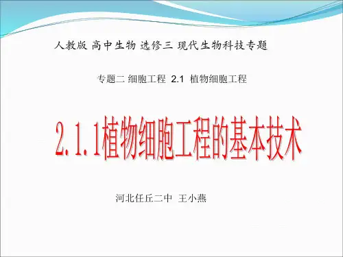 植物细胞工程