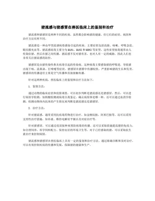 猪流感与猪感冒在兽医临床上的鉴别和治疗