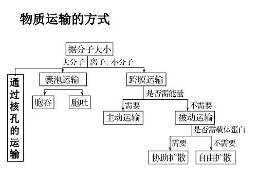 物质跨膜运输的方式曲线图及跨膜用
