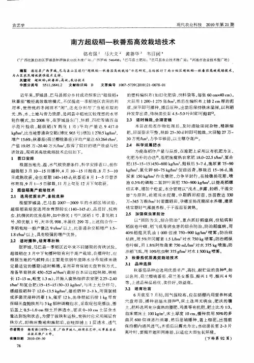 南方超级稻—秋番茄高效栽培技术
