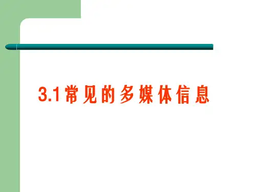 各种媒体信息在计算机中的表示(文本、图形图像)