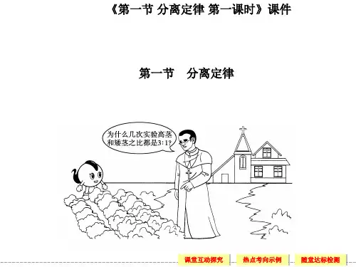 《第一节 分离定律 第一课时》课件