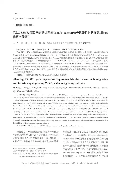 沉默TRIM31 基因表达通过调控Wntβ-catenin信号通路抑制膀胱癌细胞的迁移与侵袭