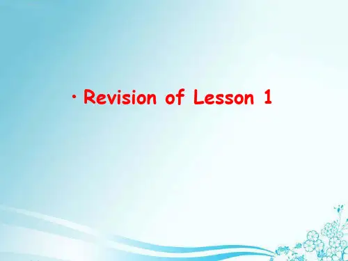 新概念英语第三册Lesson 2 PPT课件