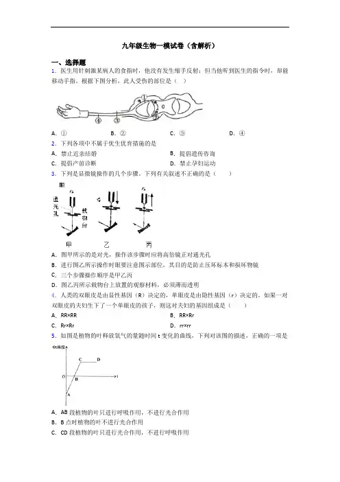 九年级生物一模试卷(含解析)