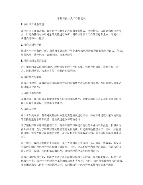 审计风控个人工作计划表
