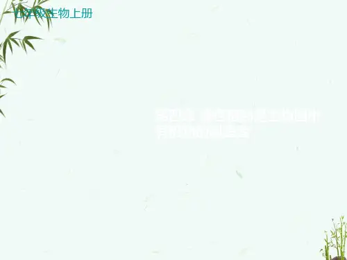 人教版七年级上册生物 第三单元 生物圈中的绿色植物 第四章 绿色植物是生物圈中有机物的制造者 课件