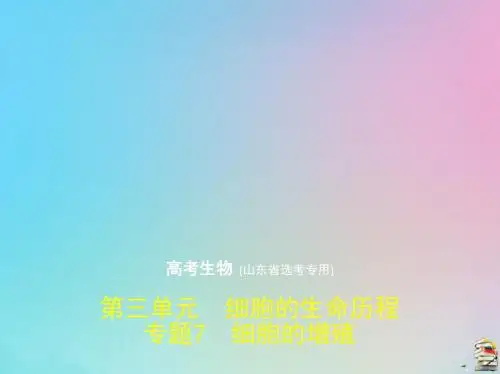 2020版高考生物一轮复习专题7细胞的增殖课件