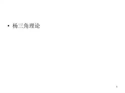 企业战略杨三角理论(课堂)-2022年学习资料