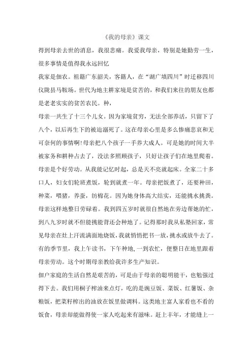 《我的母亲》课文