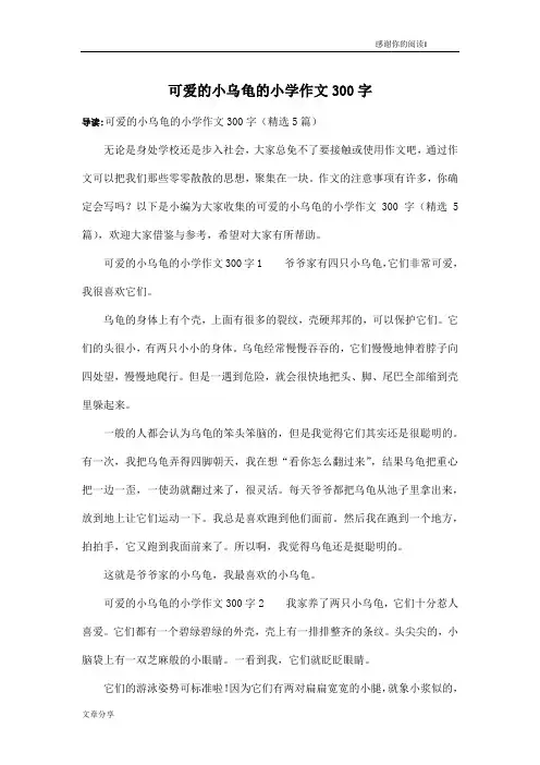 可爱的小乌龟的小学作文300字