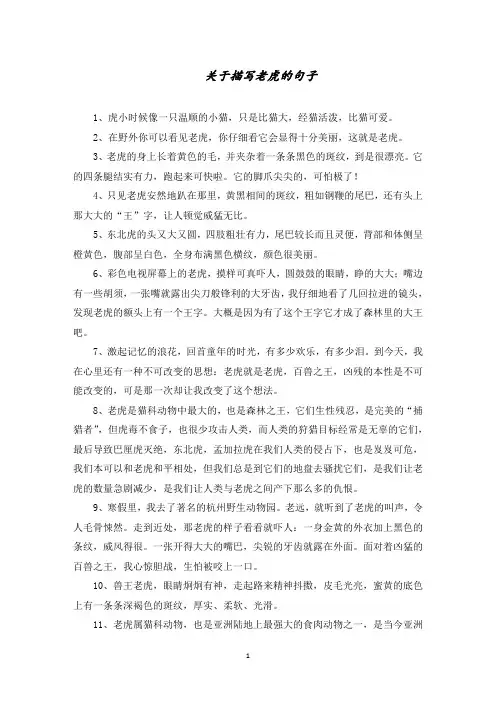 描写老虎的句子精选