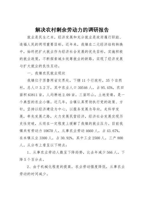 2022年解决农村剩余劳动力的调研报告