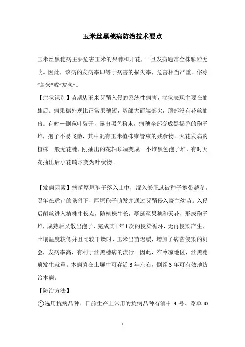 玉米丝黑穗病防治技术要点