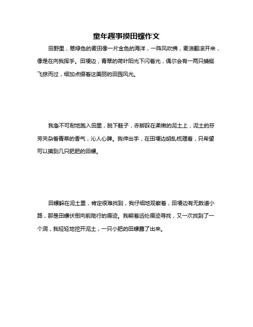 童年趣事摸田螺作文