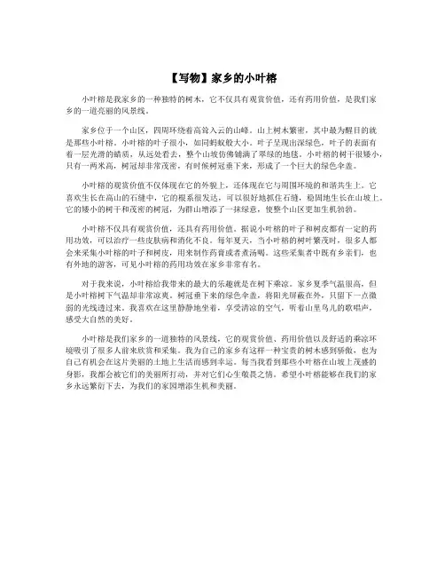 【写物】家乡的小叶榕