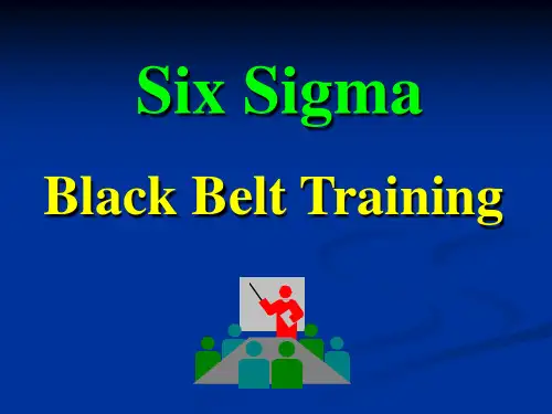 6SIGMA_黑带培训教材