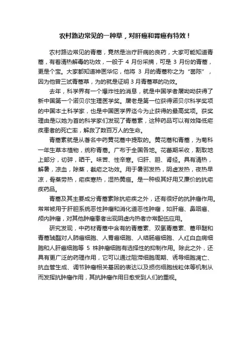 农村路边常见的一种草，对肝癌和胃癌有特效！