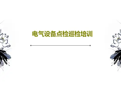 电气设备点检巡检培训20页PPT