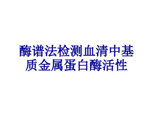 酶谱法检测血清中基质金属蛋白酶活性