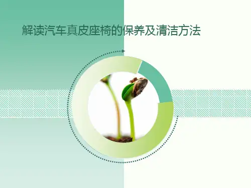 解读汽车真皮座椅的保养及清洁方法