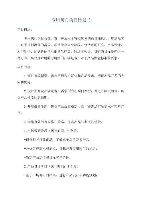 专用阀门项目计划书