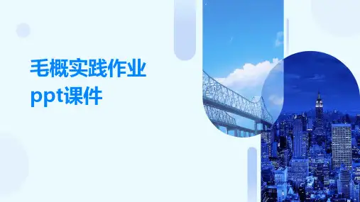 毛概实践作业ppt课件