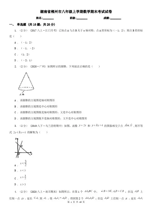 湖南省郴州市八年级上学期数学期末考试试卷