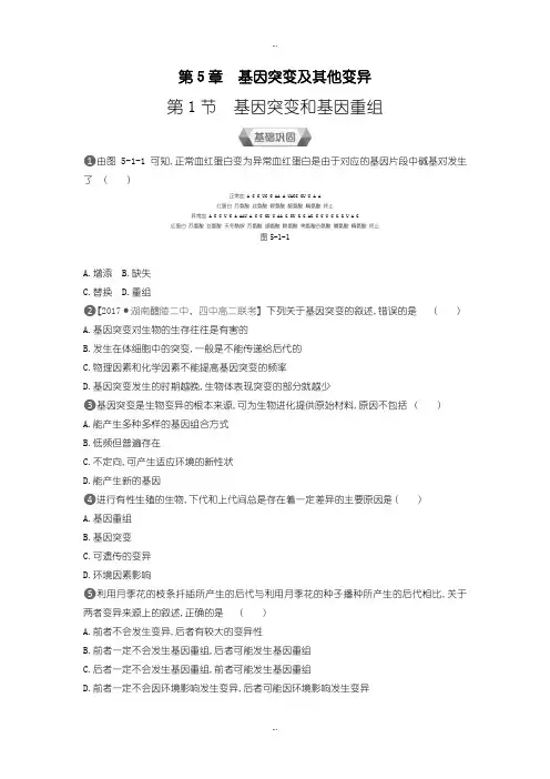2019-2020年人教版生物必修2练习：第5章第1节 基因突变和基因重组含答案