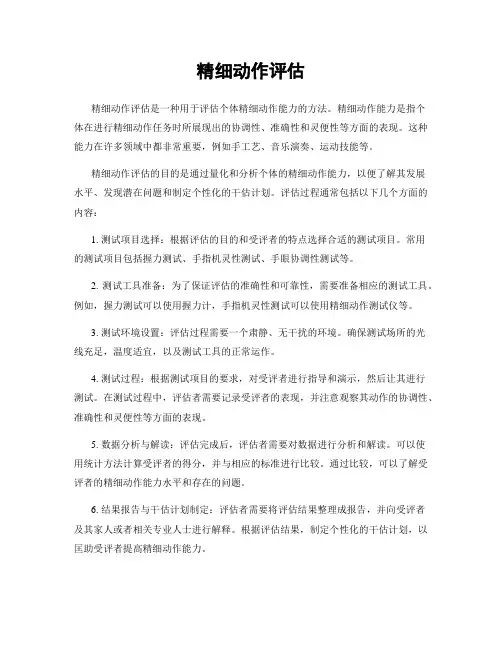 精细动作评估