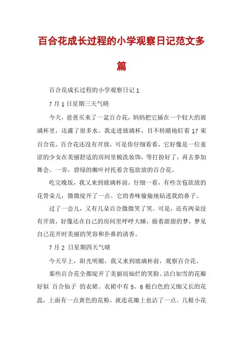 百合花成长过程的小学观察日记范文多篇
