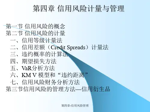 第四章-信用风险管理课件