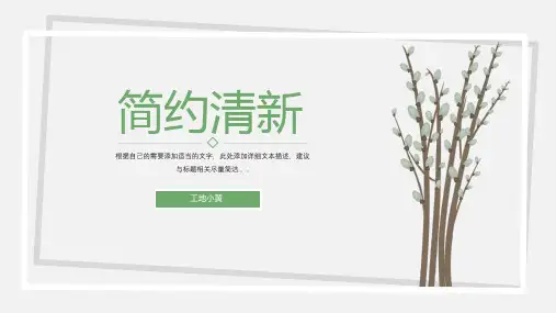 简洁淡雅文艺清新PPT模板(精选)
