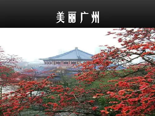 介绍广州PPT课件