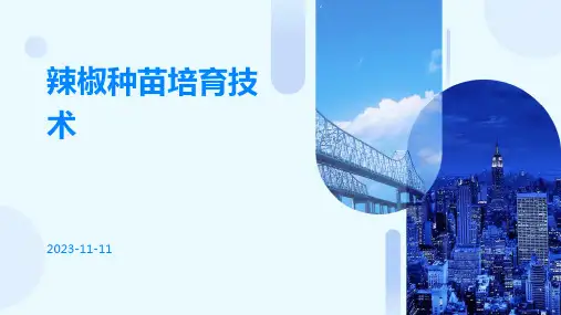 辣椒种苗如何培育辣椒种苗培育技术