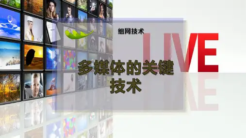 多媒体的关键技术