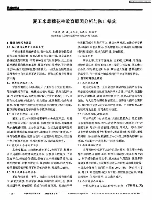 夏玉米雌穗花粒败育原因分析与防止措施