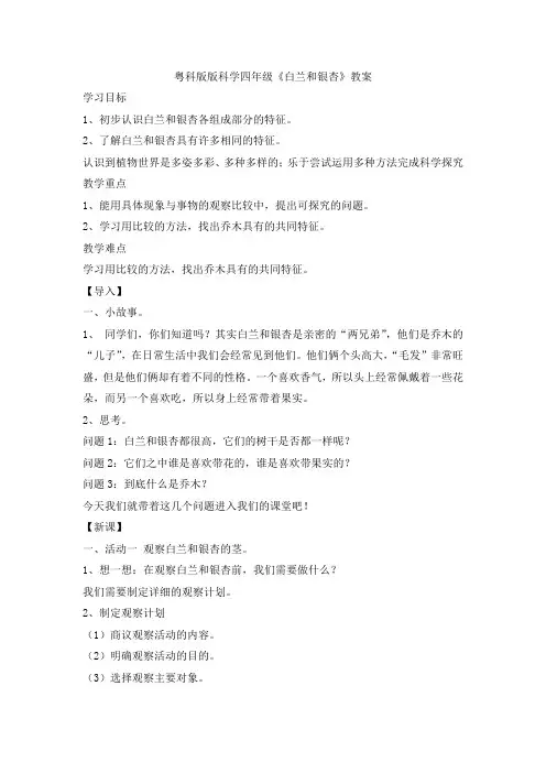 粤科版版科学四年级《白兰和银杏》教案